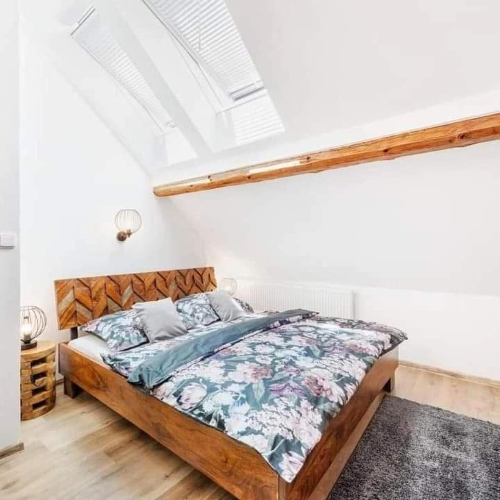 Wellness Apartmany Andrea Zdíkov المظهر الخارجي الصورة