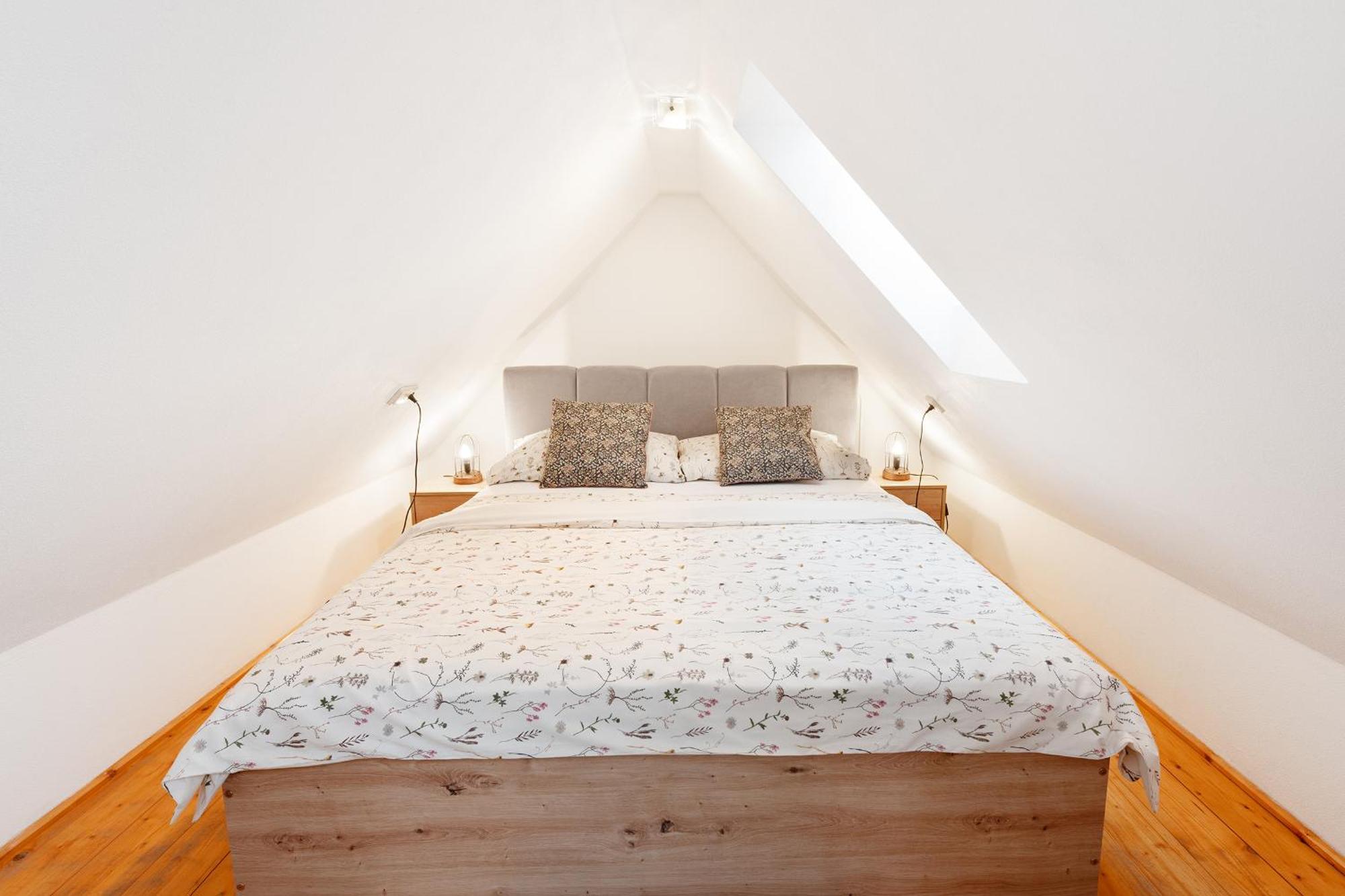 Wellness Apartmany Andrea Zdíkov المظهر الخارجي الصورة